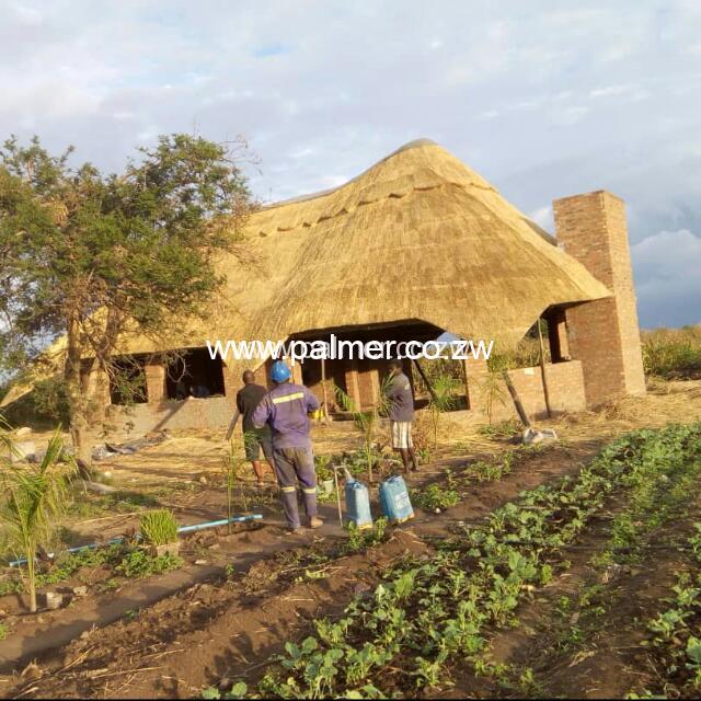 gazebo design build and thatch services Palmer Construction Zimbabwe